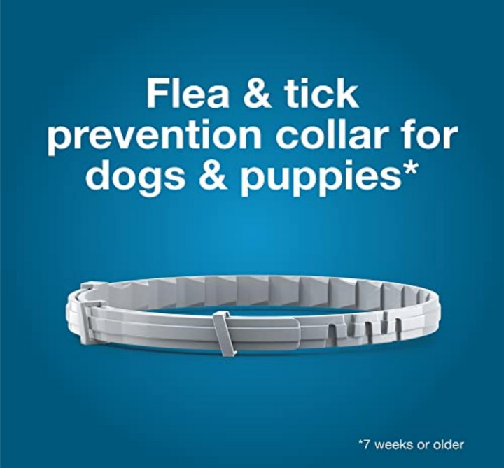 PawTector™ Ultra Anti-Flea Collar© | 8 Month Protection